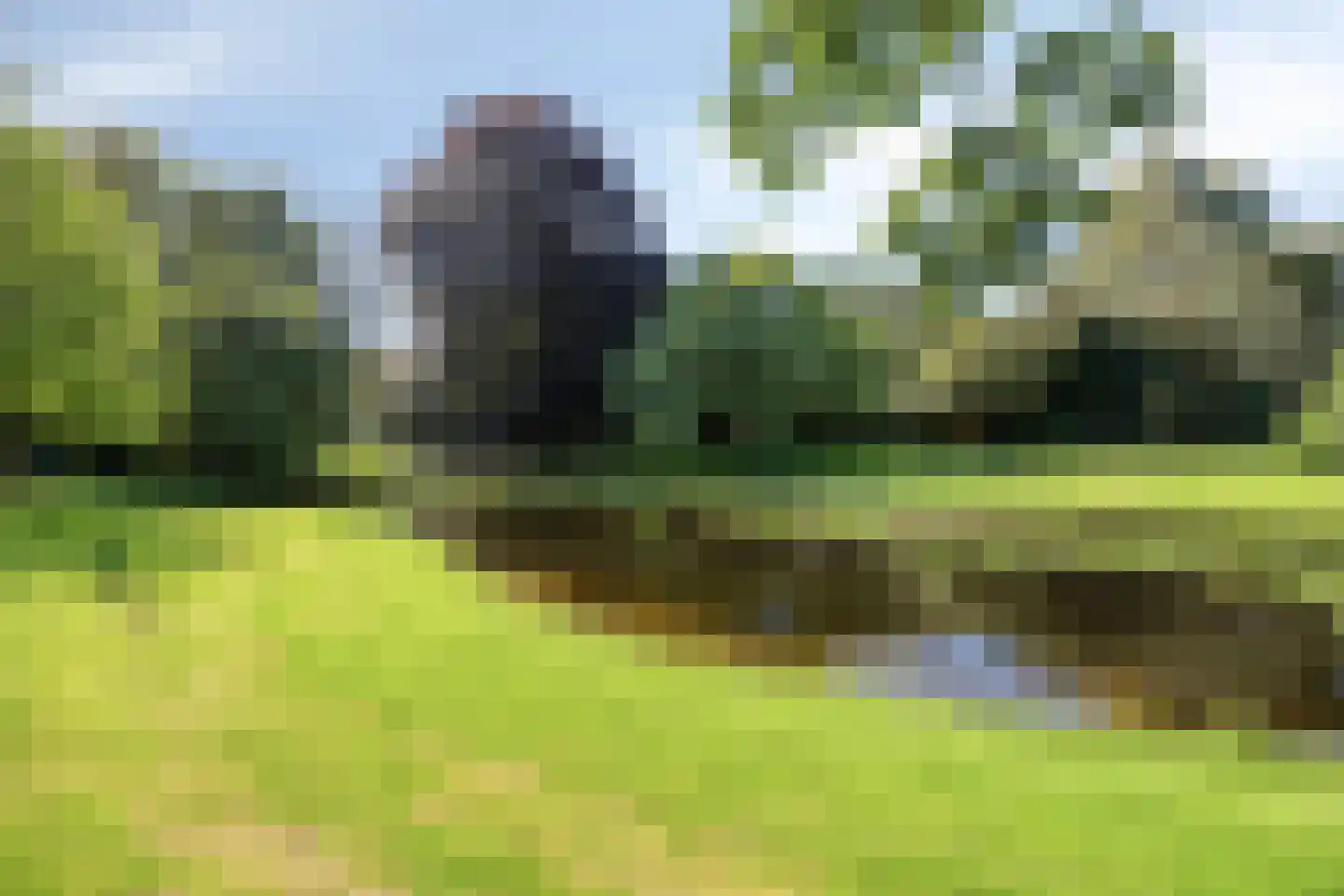 Knijpslaan 12 Hoogezand thumbnail 24