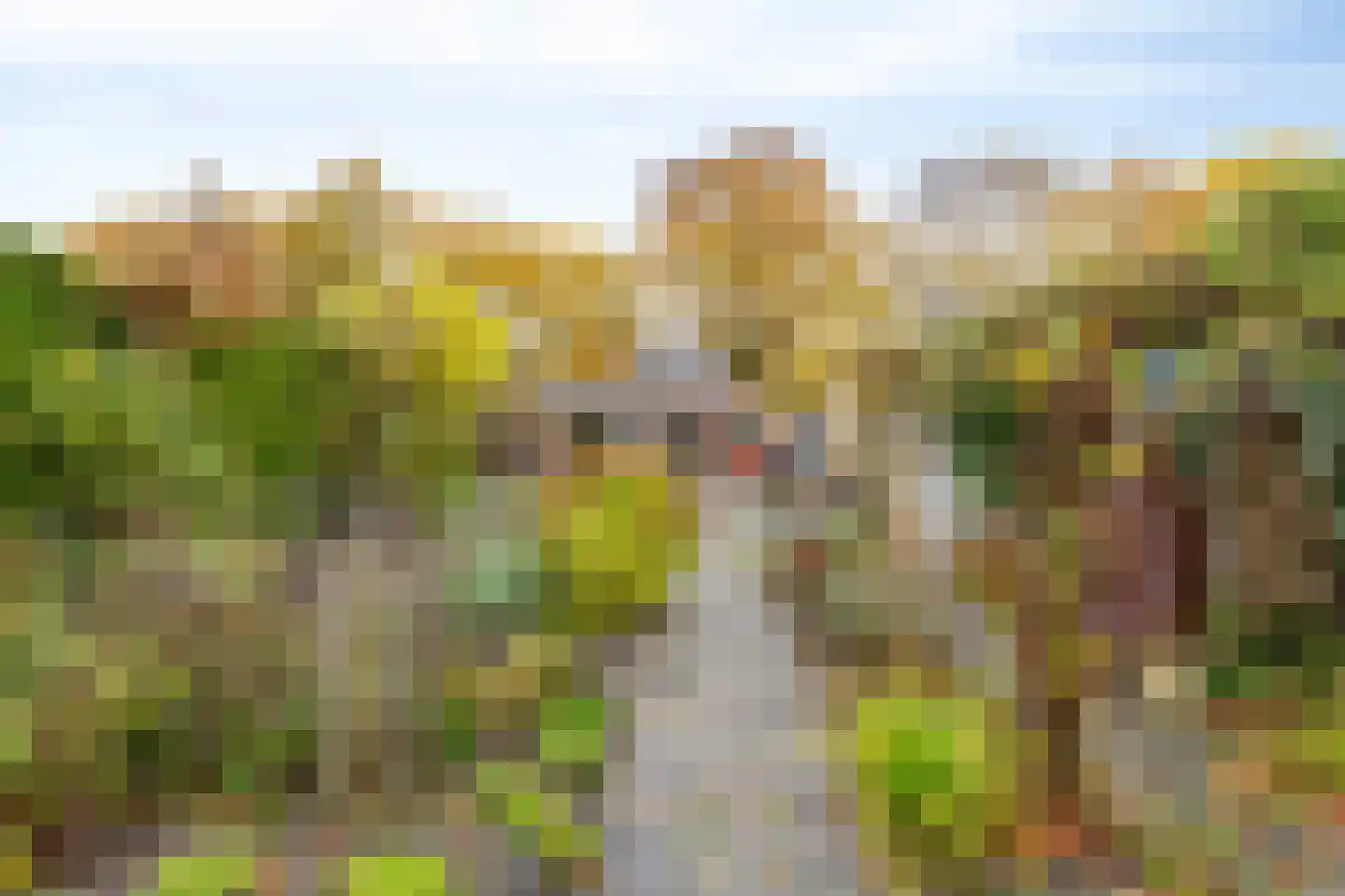 Knijpslaan 17 Kolham foto 2