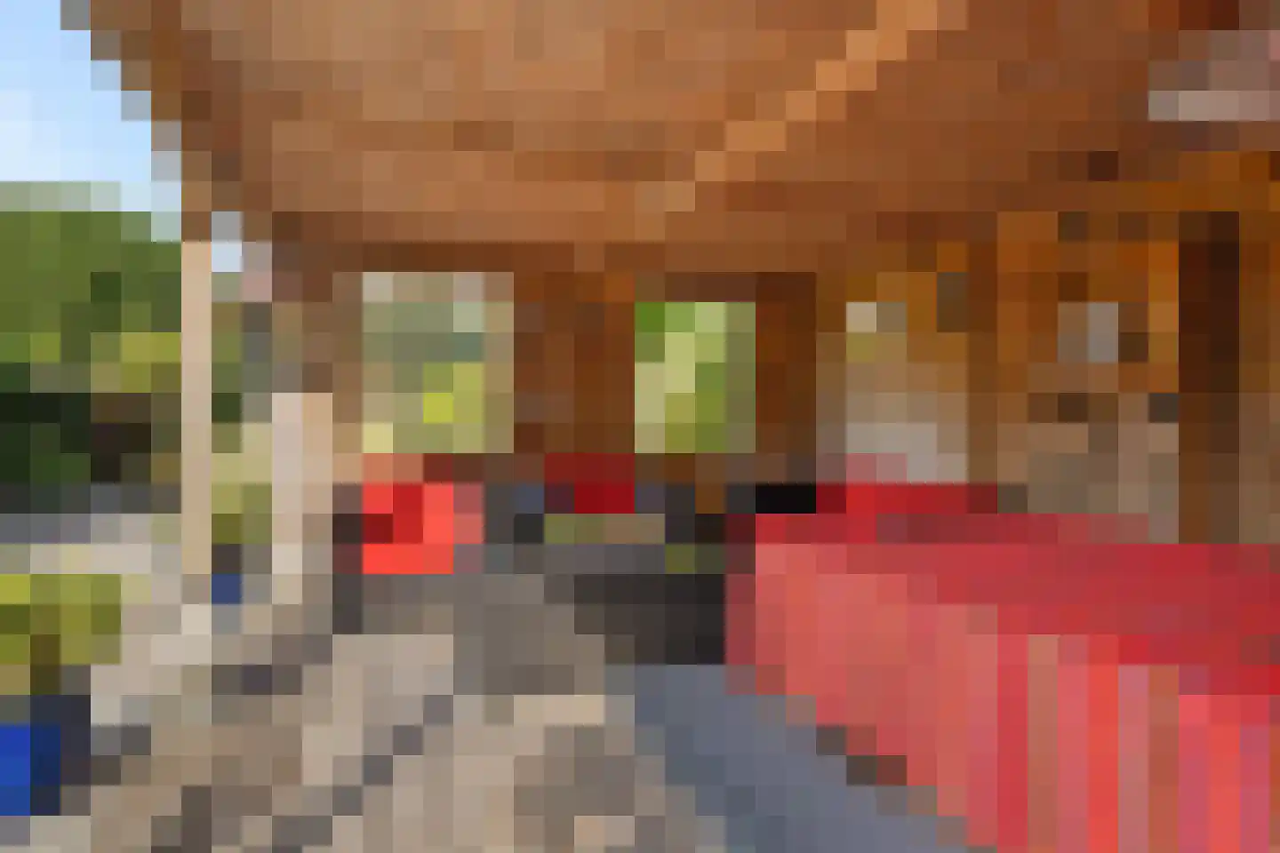 Knijpslaan 17 Kolham thumbnail 29