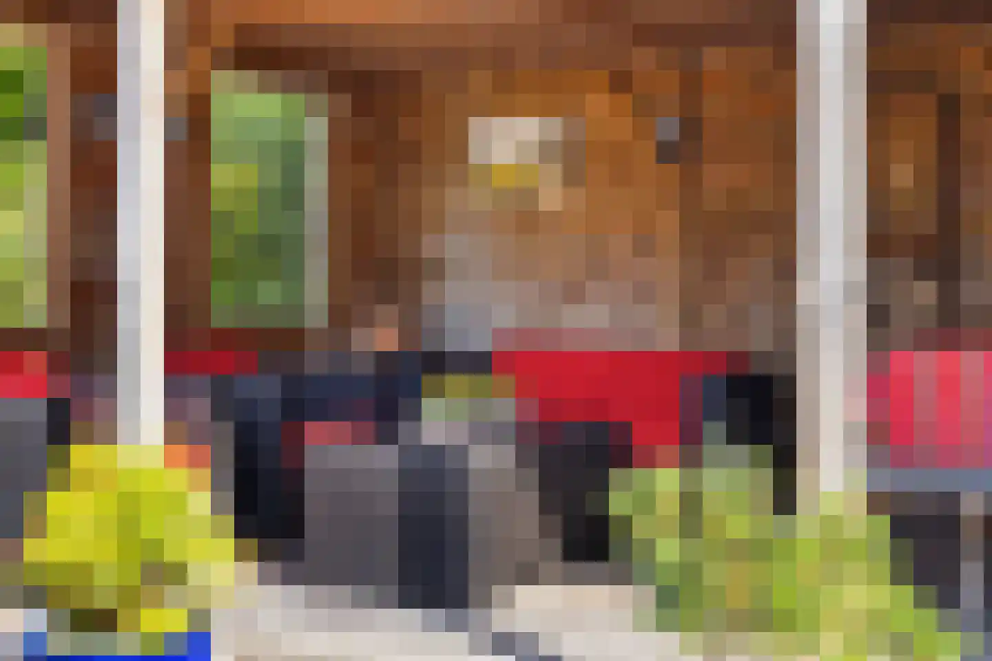 Knijpslaan 17 Kolham thumbnail 30