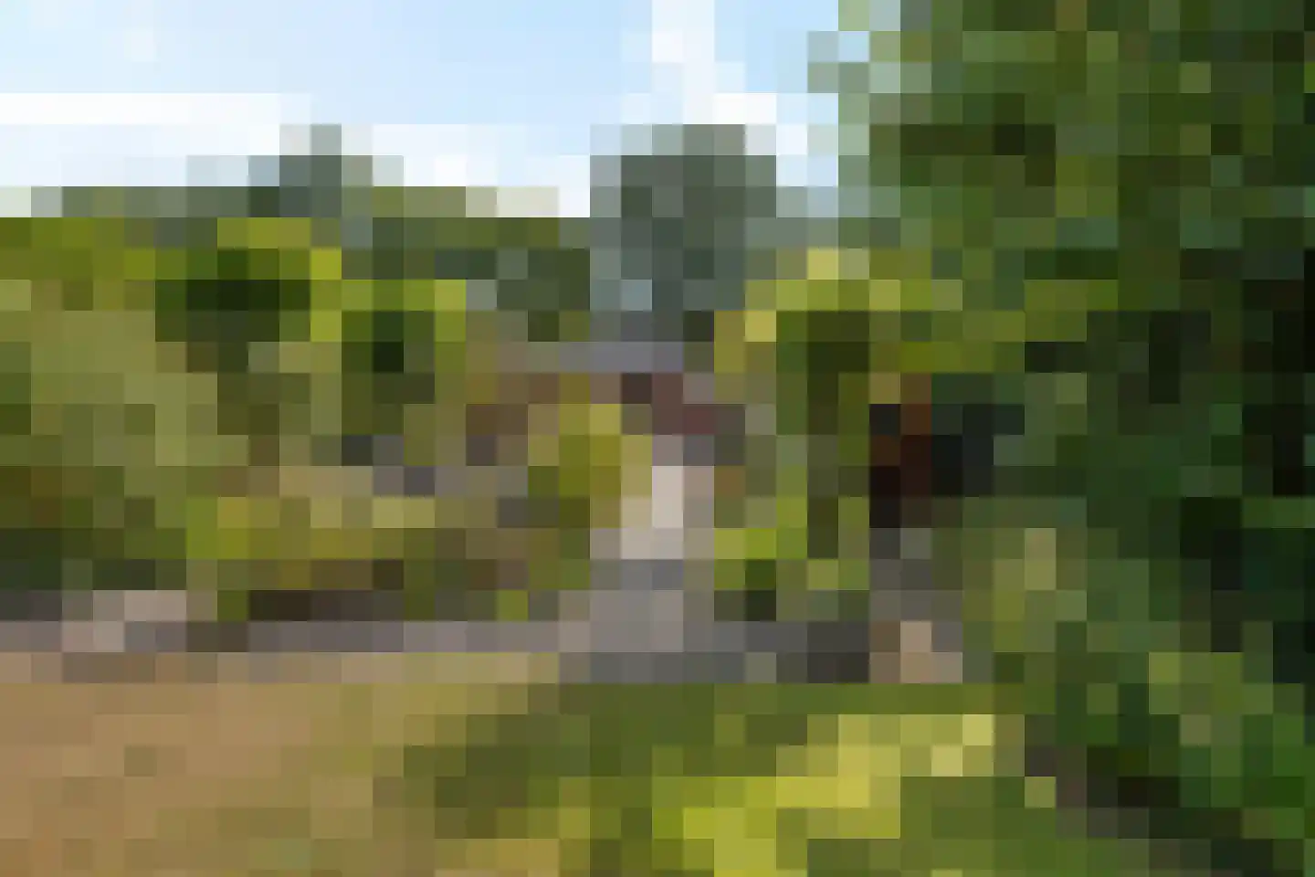Knijpslaan 17 Kolham thumbnail 32