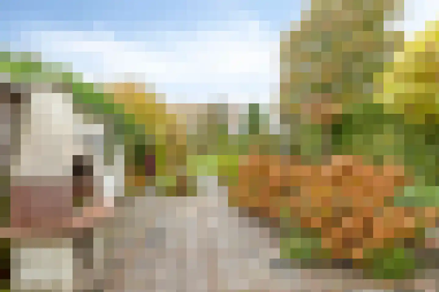 Knijpslaan 17 Kolham thumbnail 33