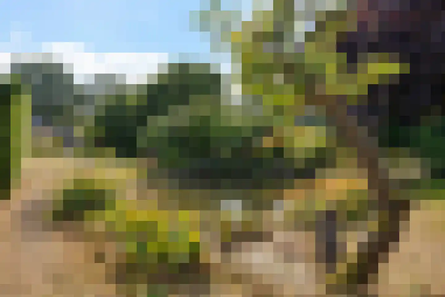 Knijpslaan 17 Kolham thumbnail 33