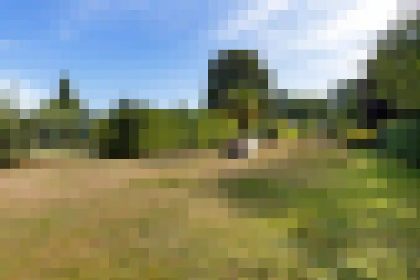 Knijpslaan 17 Kolham thumbnail 34
