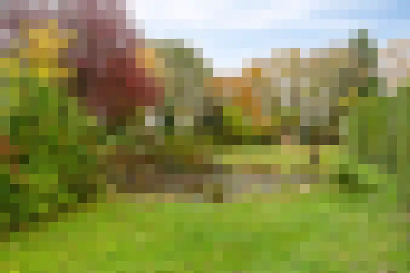 Knijpslaan 17 Kolham thumbnail 34