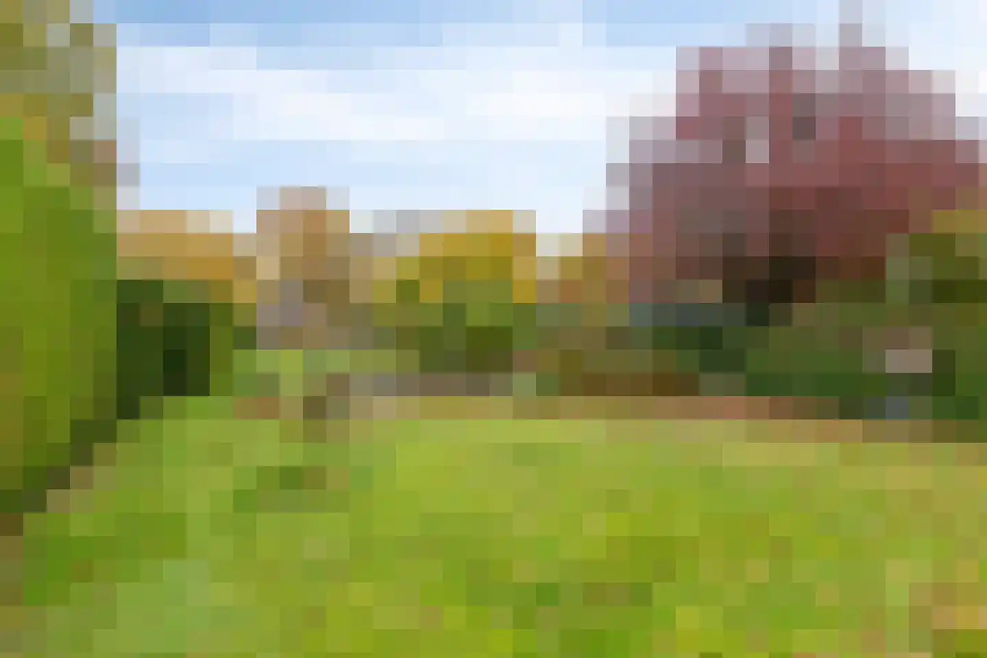 Knijpslaan 17 Kolham thumbnail 35