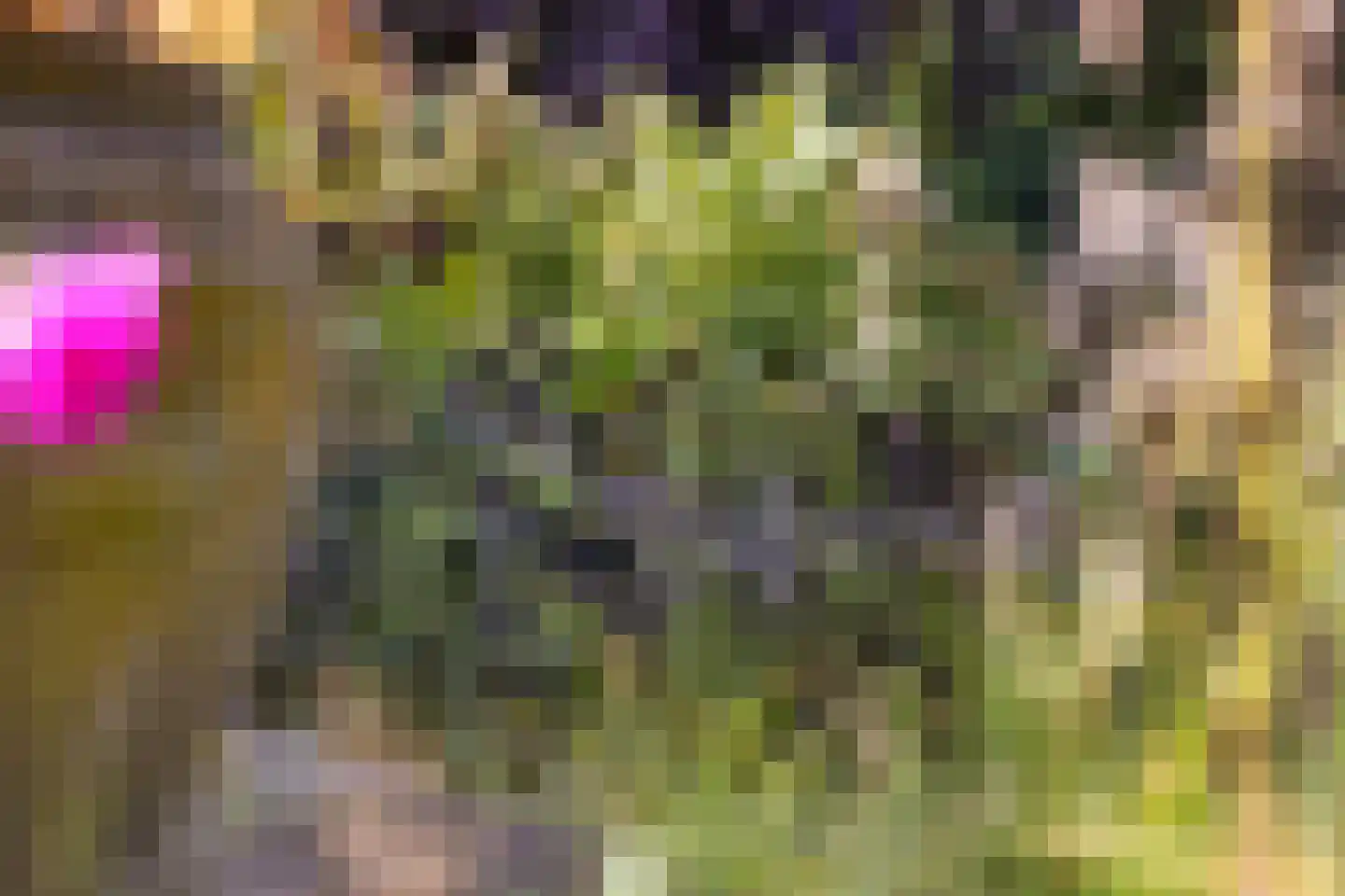 Knijpslaan 17 Kolham thumbnail 36
