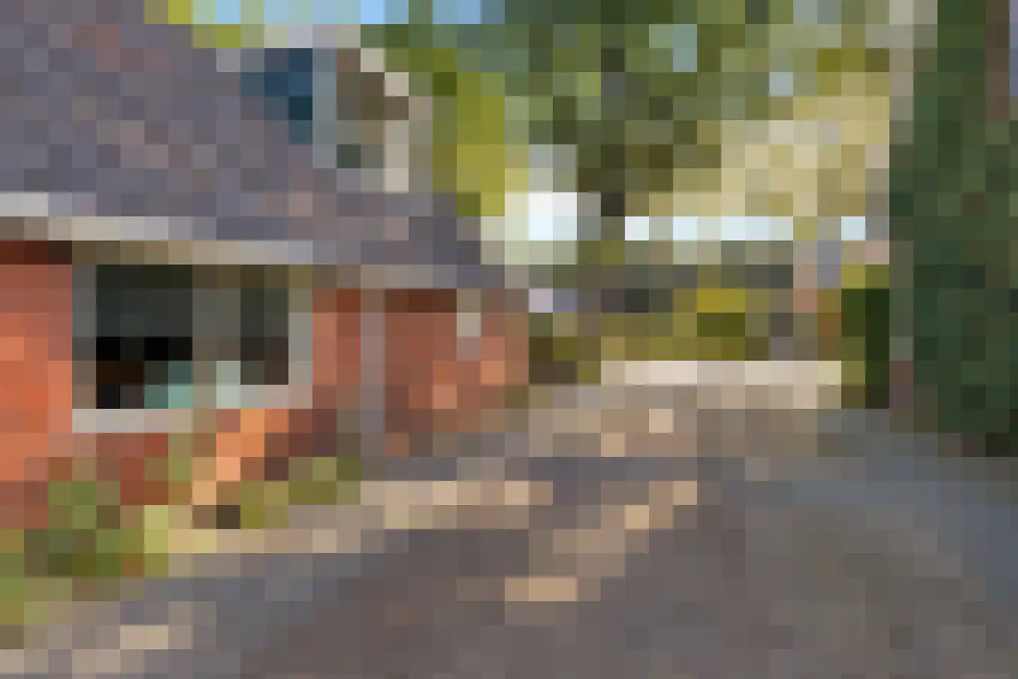 Knijpslaan 17 Kolham thumbnail 42