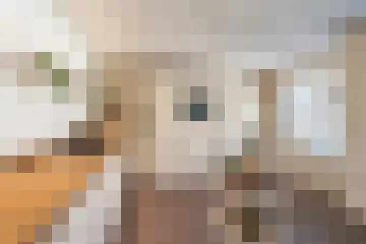 Knijpslaan 4 Kolham thumbnail 13