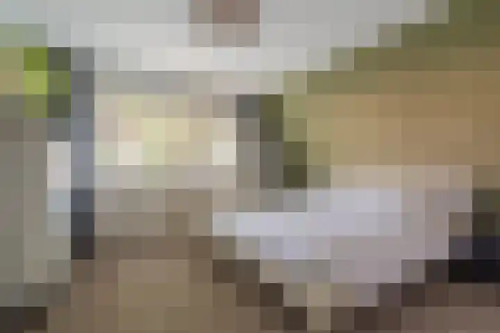 Knijpslaan 4 Kolham thumbnail 21