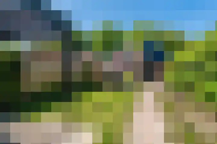 Knijpslaan 4 Kolham thumbnail 31