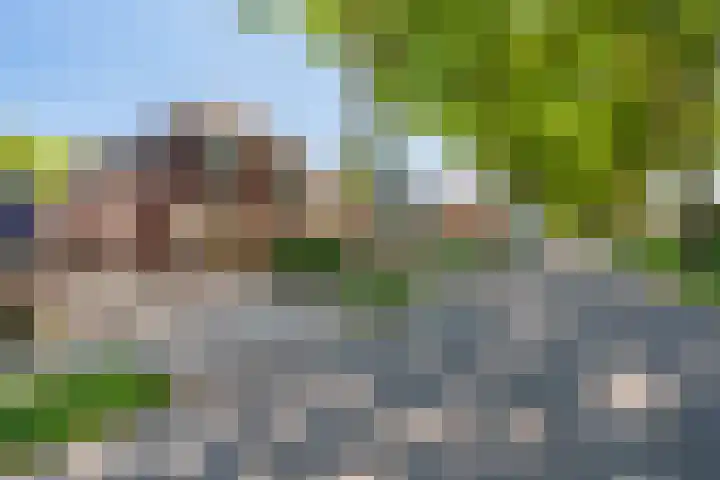 Knijpslaan 4 Kolham thumbnail 37