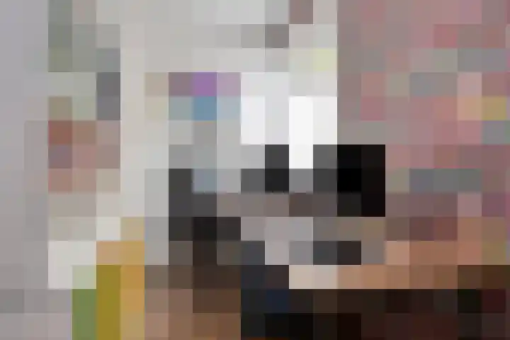 Knijpslaan 47 Kolham thumbnail 14