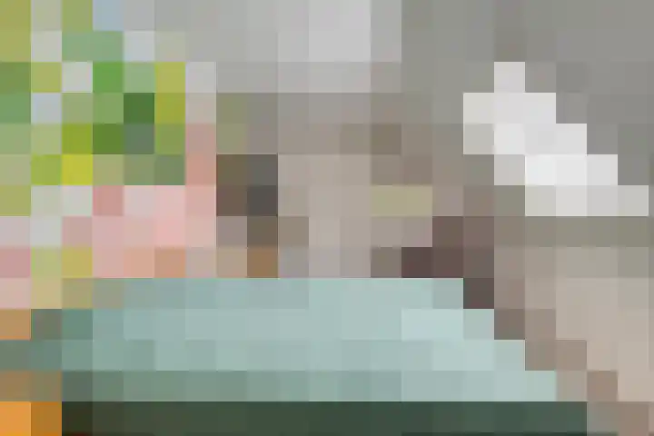 Knijpslaan 47 Kolham thumbnail 22