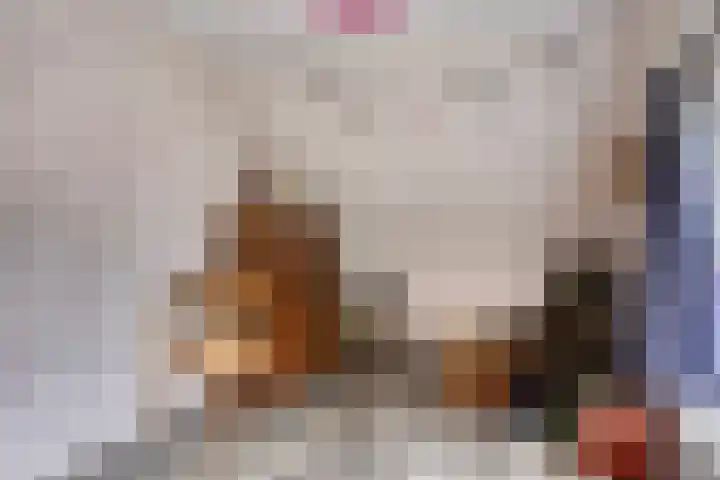 Knijpslaan 47 Kolham thumbnail 25