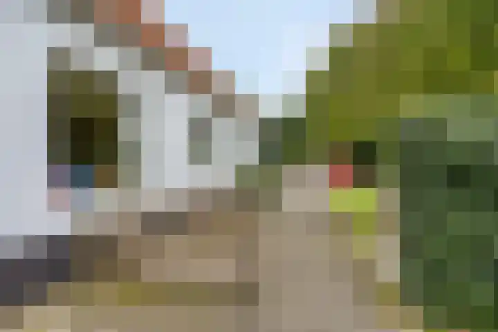 Knijpslaan 47 Kolham thumbnail 30