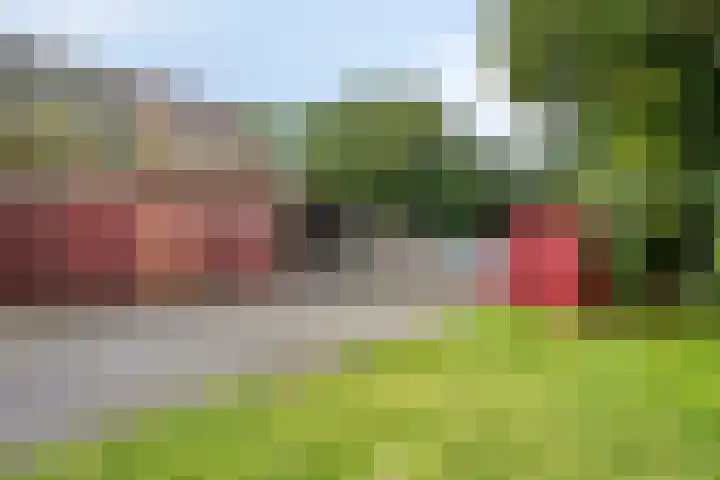 Knijpslaan 47 Kolham thumbnail 31