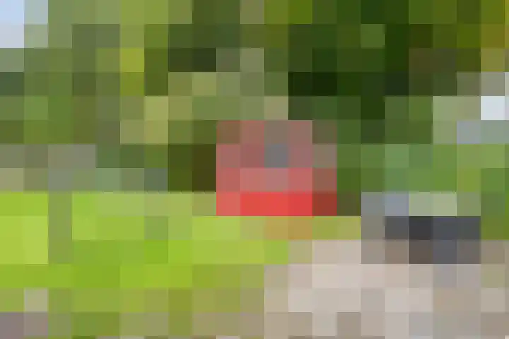 Knijpslaan 47 Kolham thumbnail 36