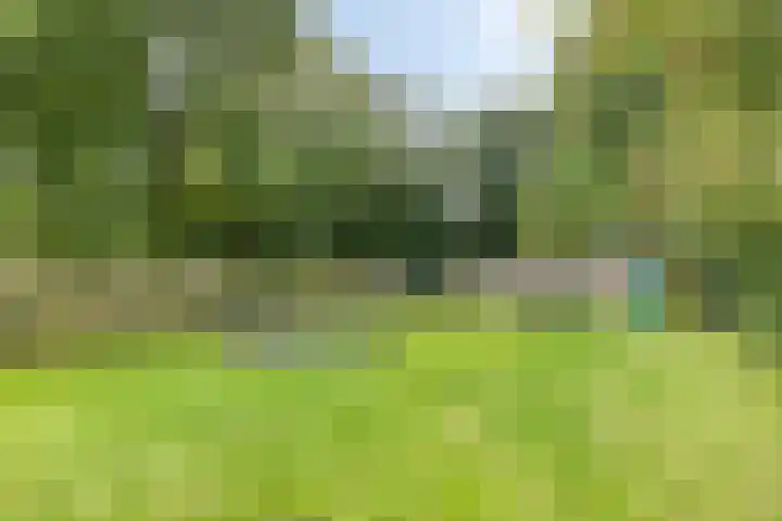 Knijpslaan 47 Kolham thumbnail 38