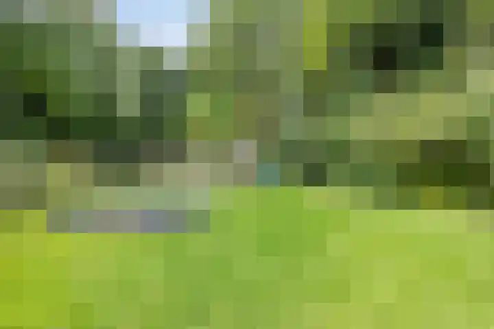 Knijpslaan 47 Kolham thumbnail 39