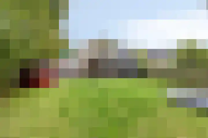 Knijpslaan 47 Kolham thumbnail 42