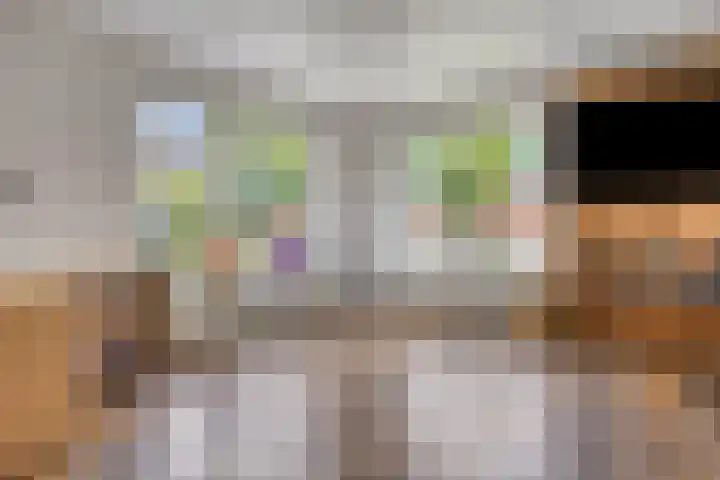 Knijpslaan 47 Kolham thumbnail 7