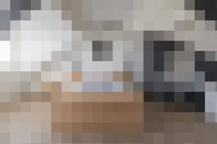 Knikeind 16 Best thumbnail 44