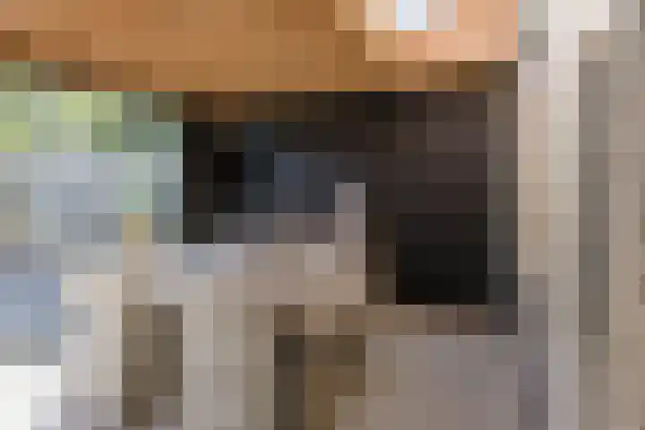 Knikeind 16 Best thumbnail 52