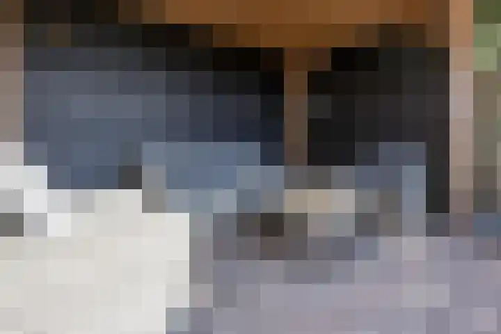 Knikeind 16 Best thumbnail 59