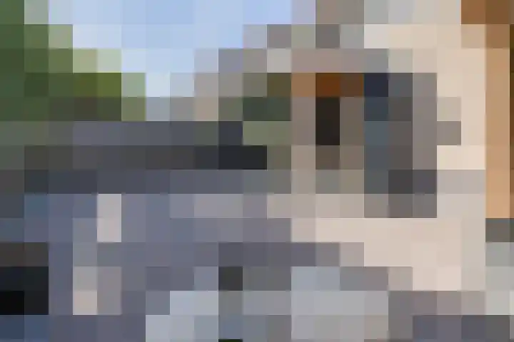 Knikeind 16 Best thumbnail 60