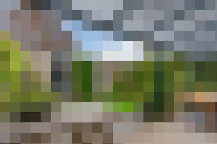 Knikeind 2 Best thumbnail 41