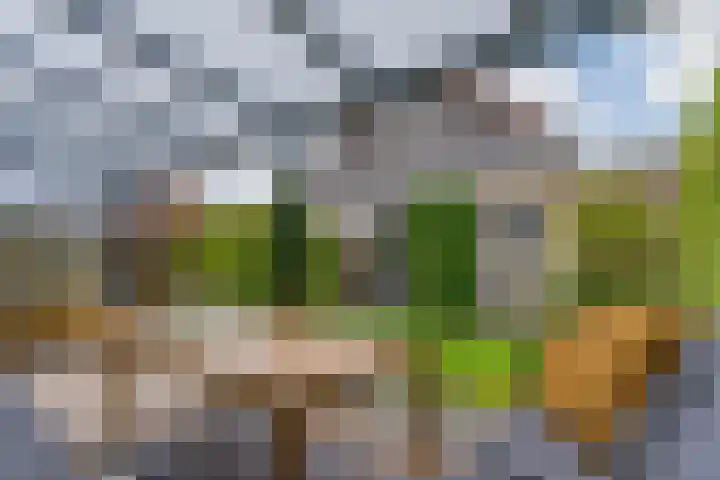 Knikeind 2 Best thumbnail 42