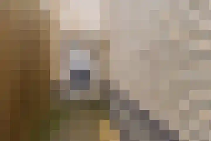 Knikeind 2 Best thumbnail 45
