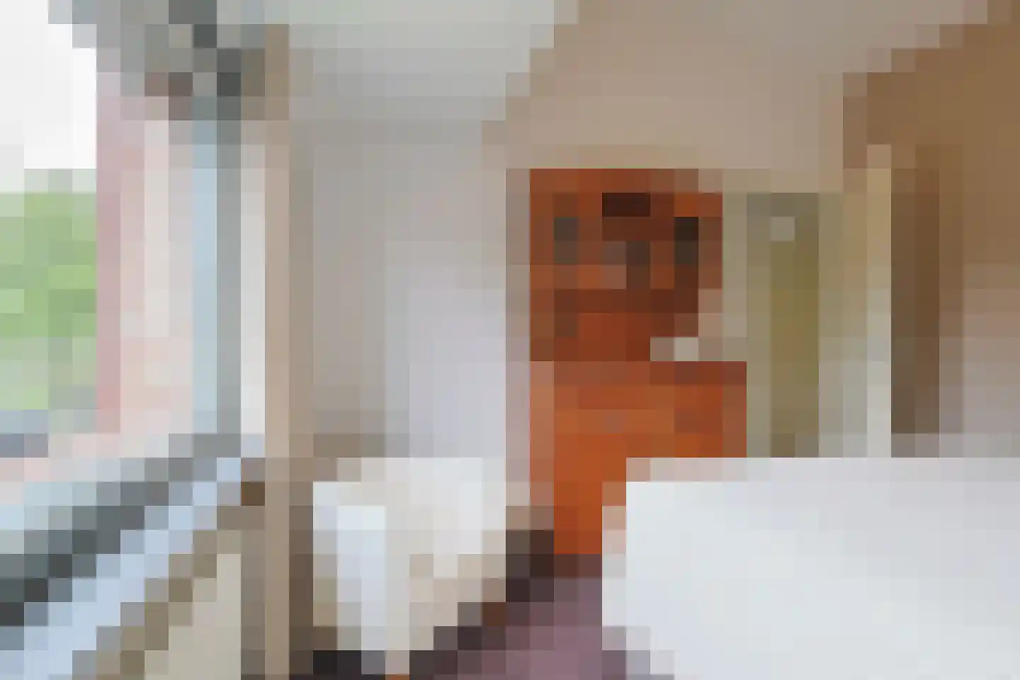 Knikeind 21 A Best thumbnail 22