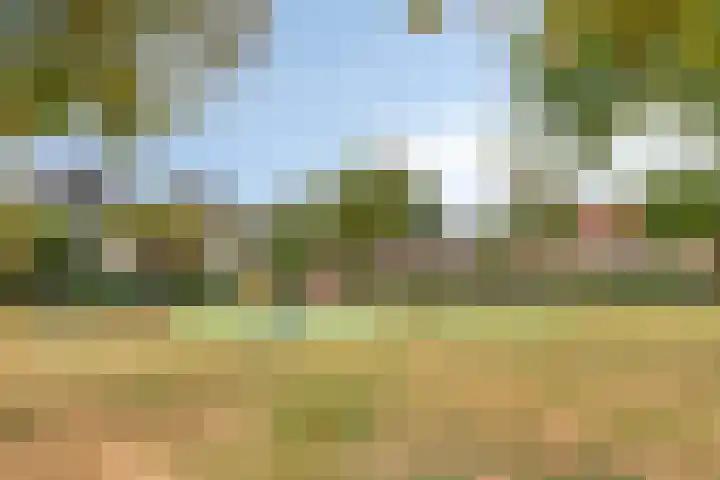 Knikeind 34 Best thumbnail 31