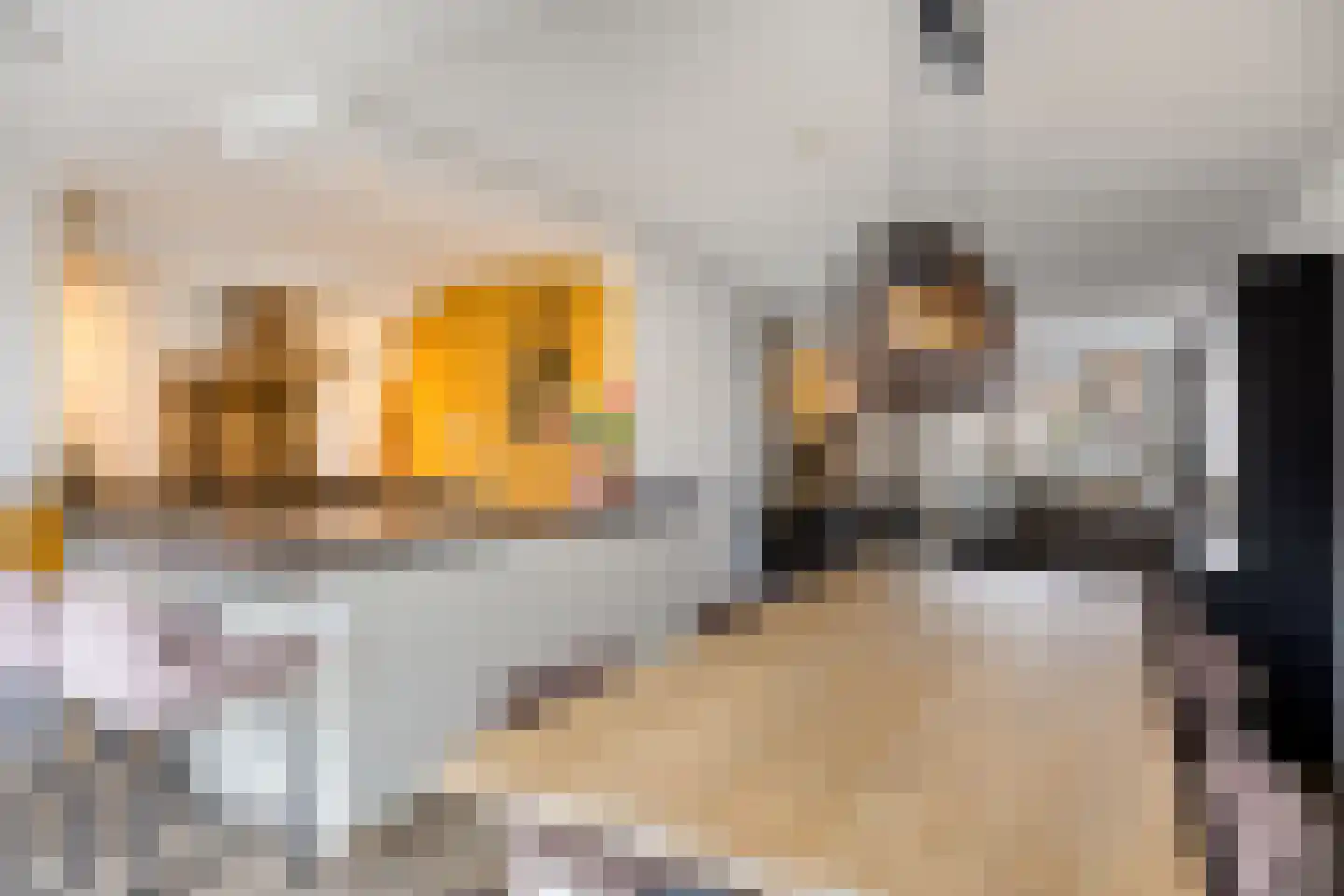 Knikeind 37 Best thumbnail 11