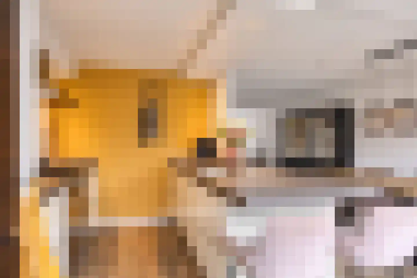 Knikeind 37 Best thumbnail 12
