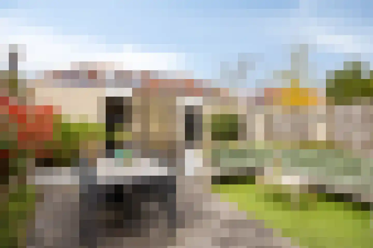 Knikeind 37 Best foto 2