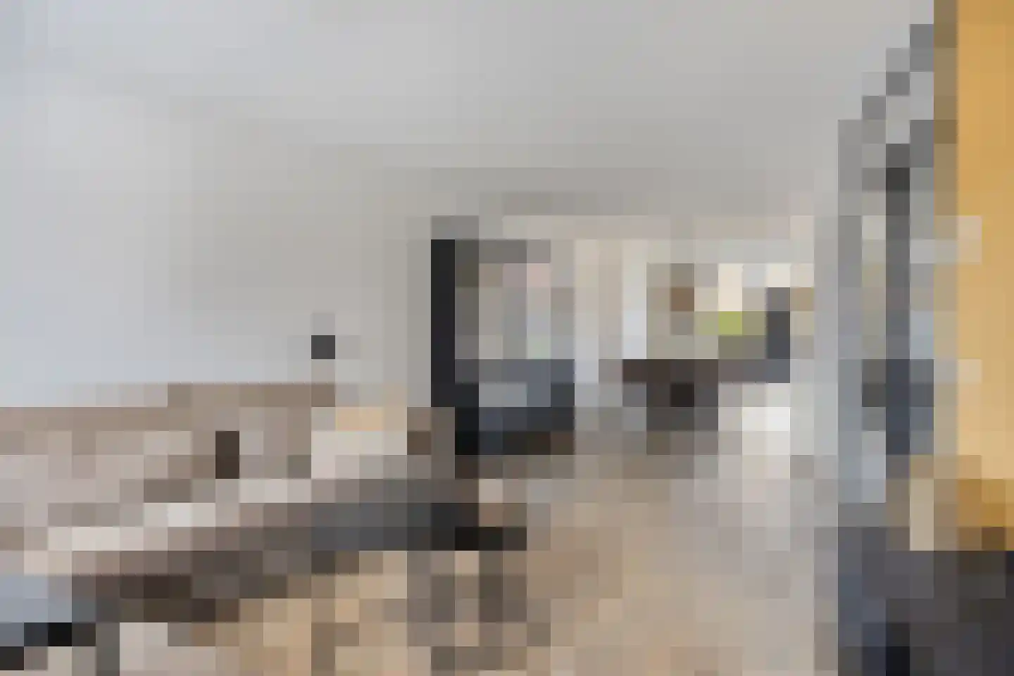Knikeind 37 Best thumbnail 8