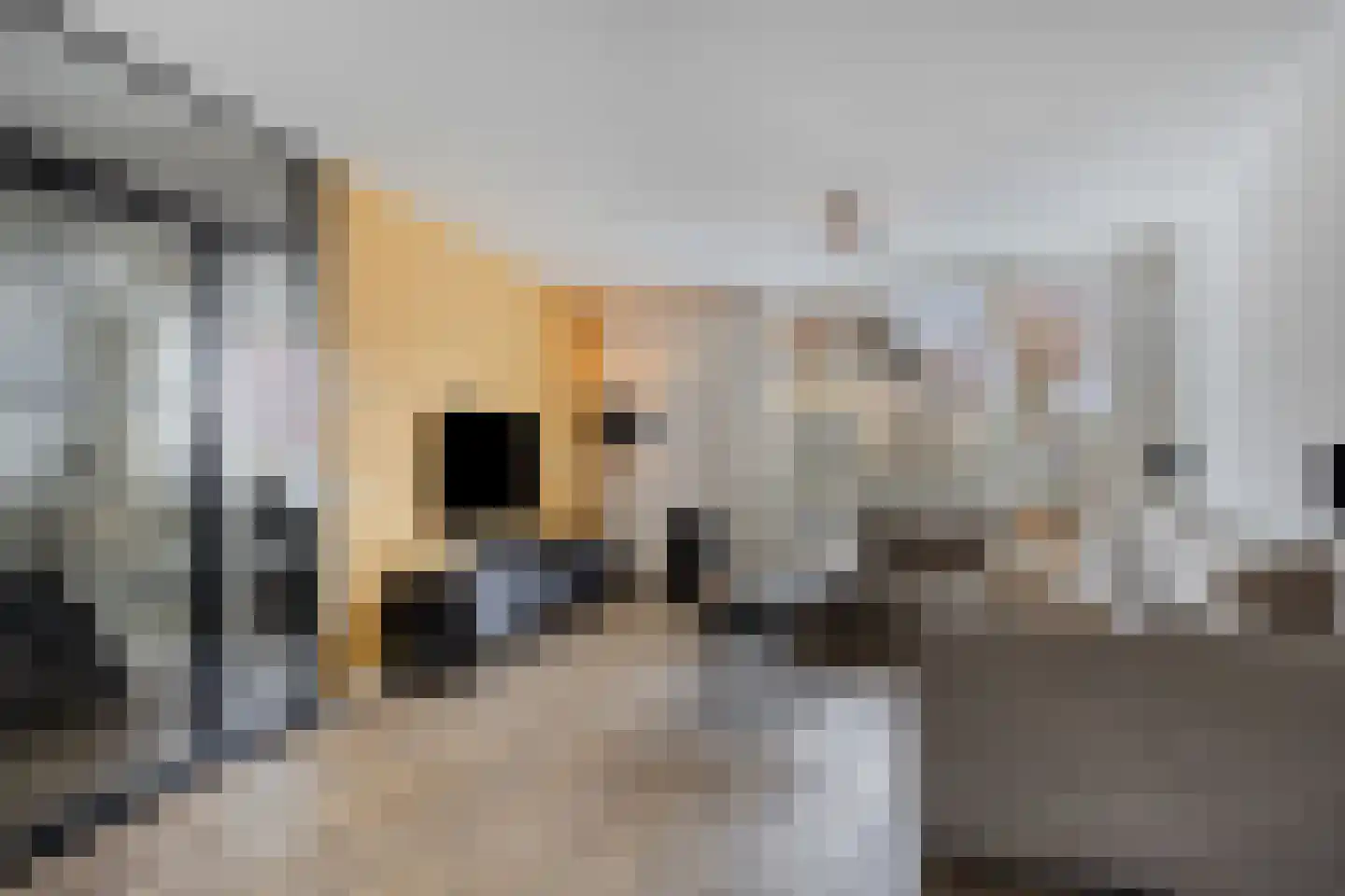 Knikeind 37 Best thumbnail 9