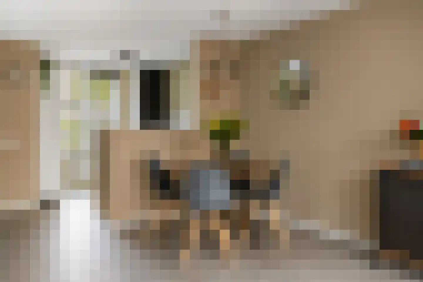 Knikeind 4 Best thumbnail 16