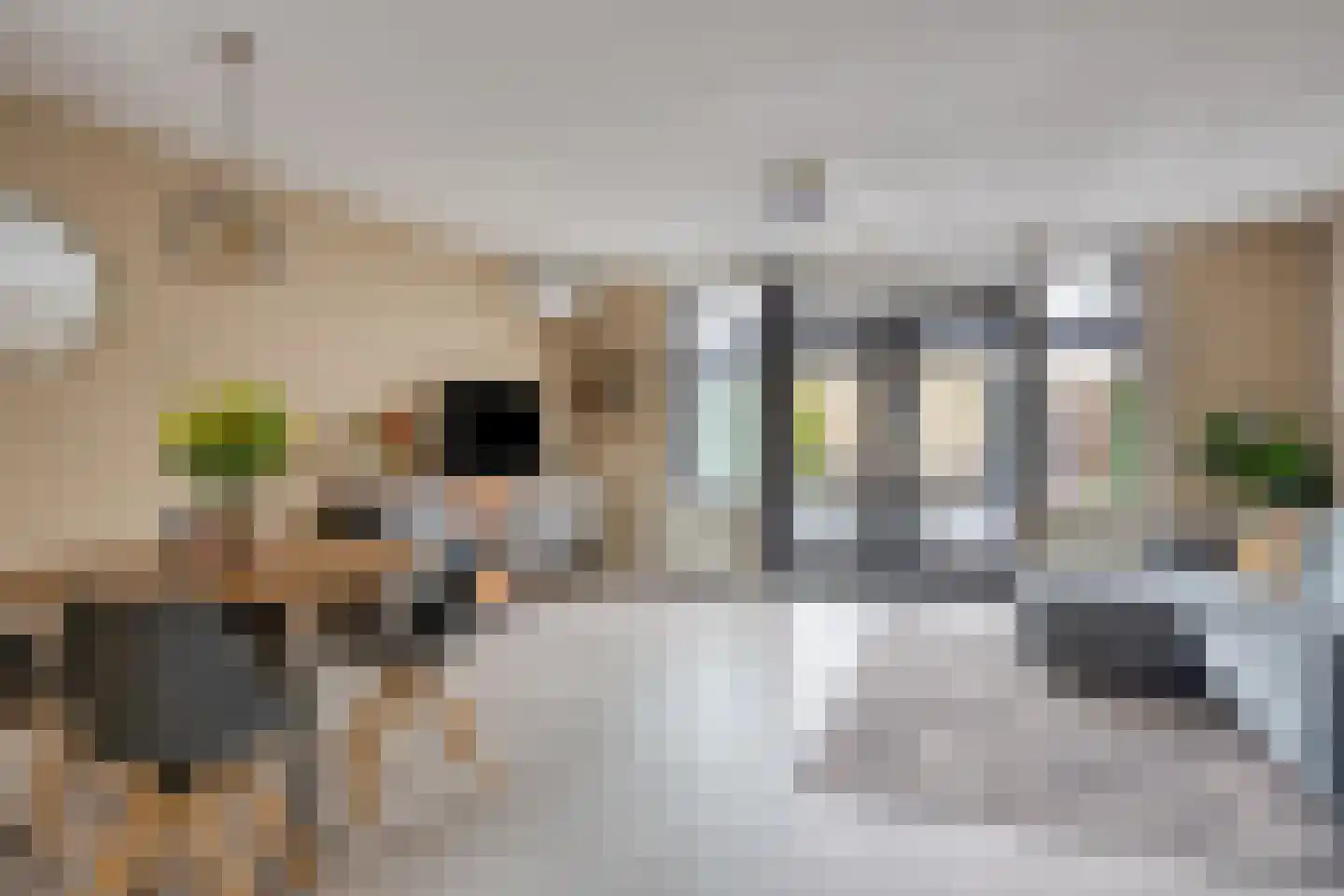 Knikeind 4 Best foto 2