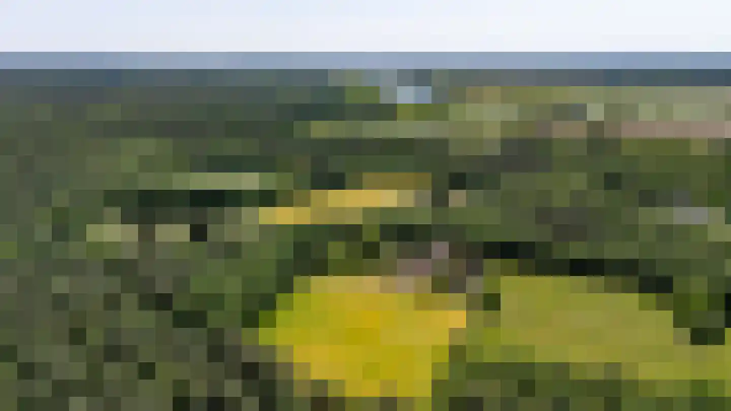 Knikkerdorpweg 15 Well L thumbnail 4