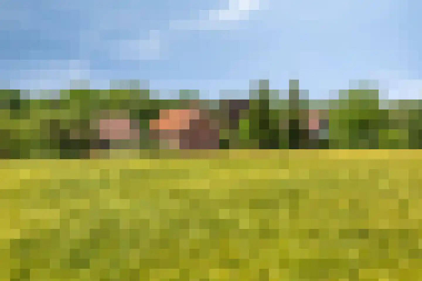 Knikkerdorpweg 15 Well L thumbnail 46