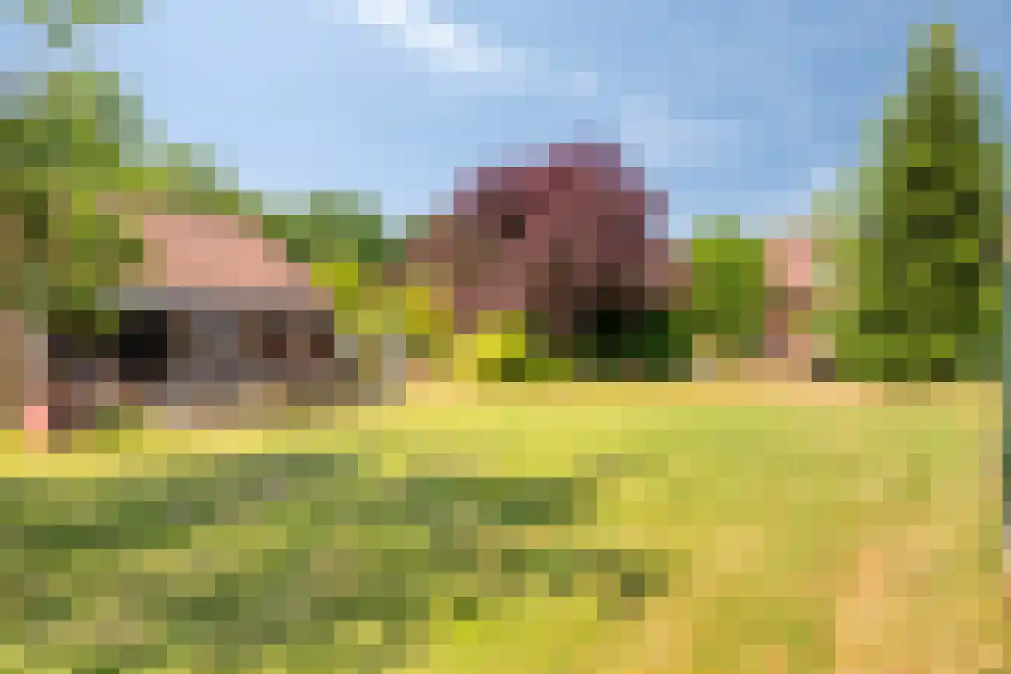 Knikkerdorpweg 15 Well L thumbnail 53