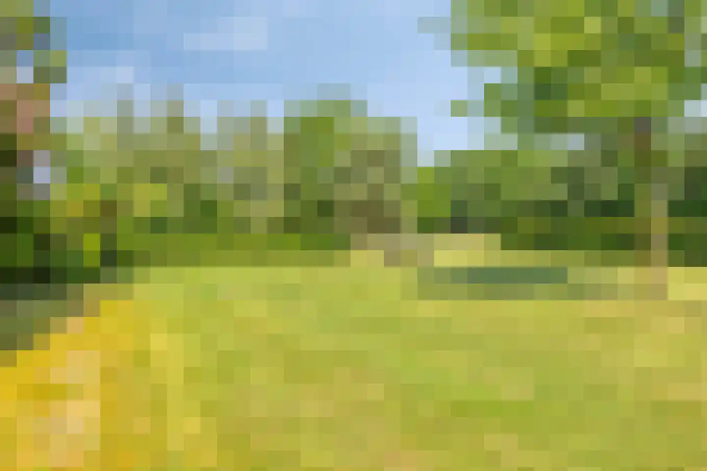 Knikkerdorpweg 15 Well L thumbnail 54