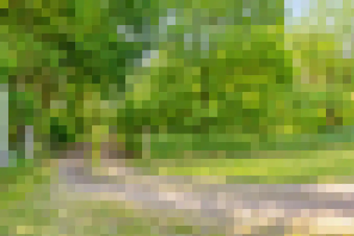 Knikkerdorpweg 15 Well L thumbnail 60