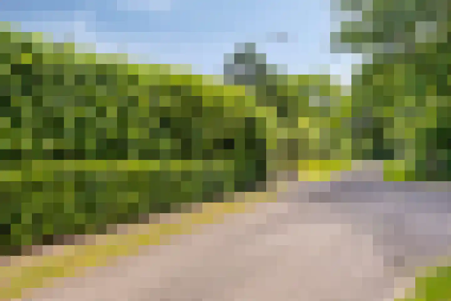 Knikkerdorpweg 15 Well L thumbnail 64