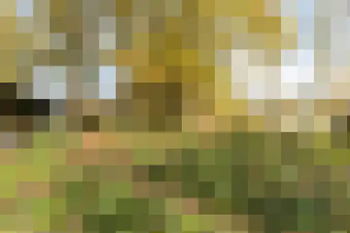 Knikkerdorpweg 2 Well L thumbnail 33