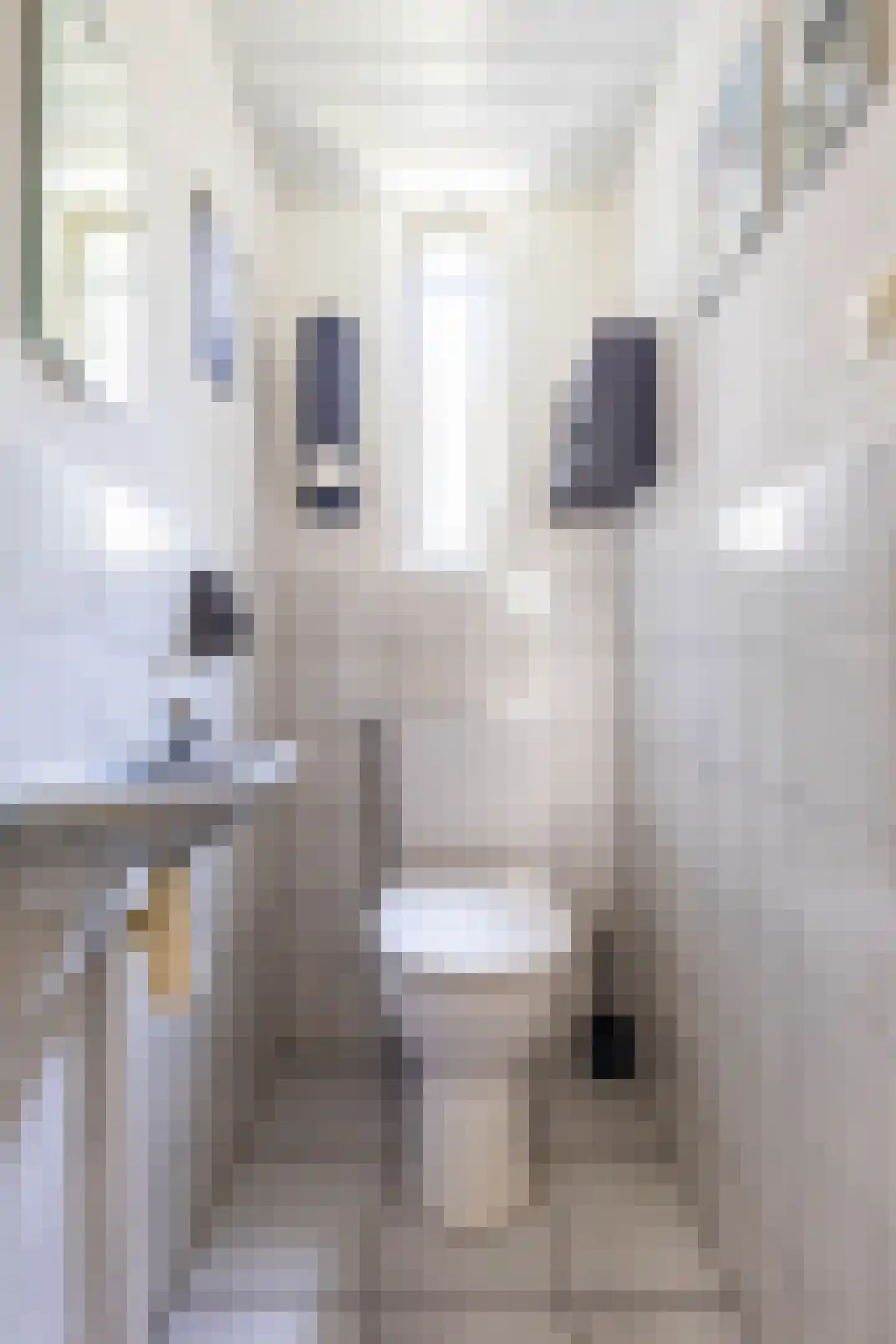 Knilles Wytseswei 13 Sumar thumbnail 19